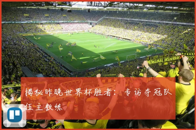 揭秘昨晚世界杯胜者：专访夺冠队伍主教练