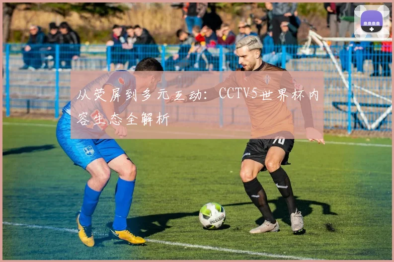 从荧屏到多元互动：CCTV5世界杯内容生态全解析