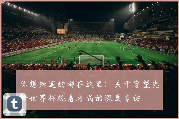 你想知道的都在这里：关于守望先锋世界杯观看方式的深度专访