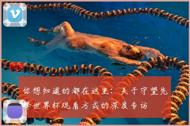 你想知道的都在这里：关于守望先锋世界杯观看方式的深度专访