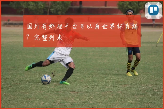 国外有哪些平台可以看世界杯直播？完整列表