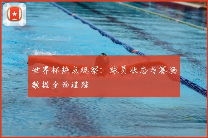 世界杯热点观察：球员状态与赛场数据全面追踪