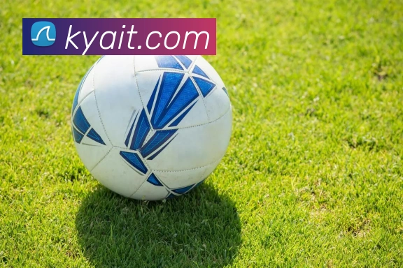 米乐官网-首页发展历程